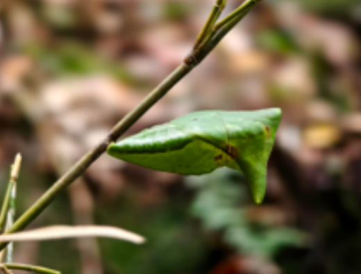 青年旅行的意义_青年旅途_