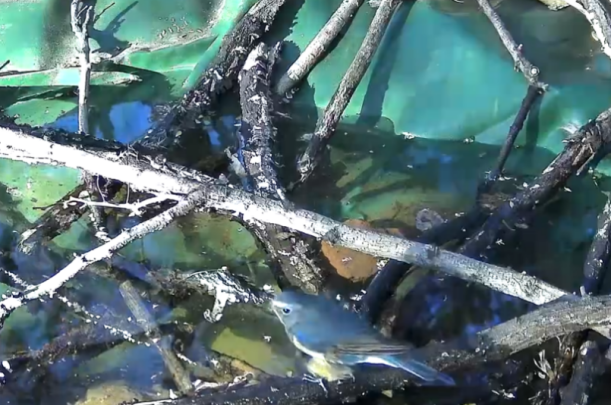 人生贵相如何必金与钱__运动员甘油