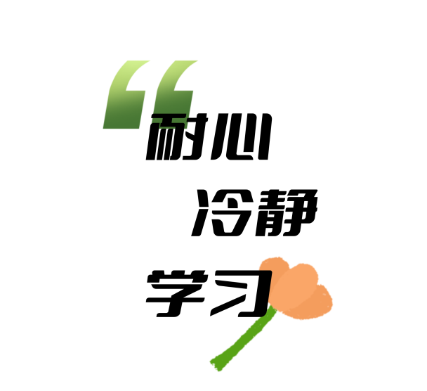 恒星伙伴计划2025年度盘点｜成为光，也照亮更多人__恒星伙伴计划2025年度盘点｜成为光，也照亮更多人