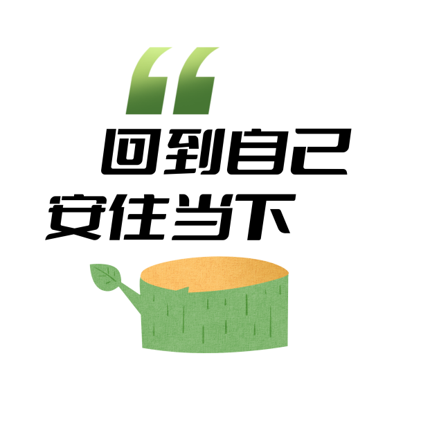 恒星伙伴计划2025年度盘点｜成为光，也照亮更多人__恒星伙伴计划2025年度盘点｜成为光，也照亮更多人