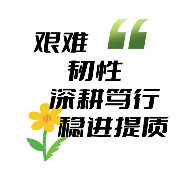 _恒星伙伴计划2025年度盘点｜成为光，也照亮更多人_恒星伙伴计划2025年度盘点｜成为光，也照亮更多人