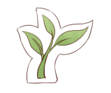 恒星伙伴计划2025年度盘点｜成为光，也照亮更多人__恒星伙伴计划2025年度盘点｜成为光，也照亮更多人