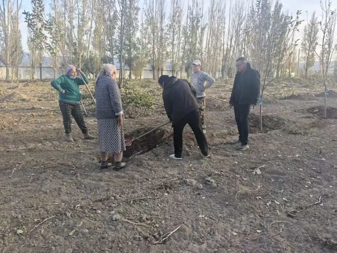青春的交流，种下新树 | 给地球天使投资人们的2025年4季度项目进展__青春的交流，种下新树 | 给地球天使投资人们的2025年4季度项目进展