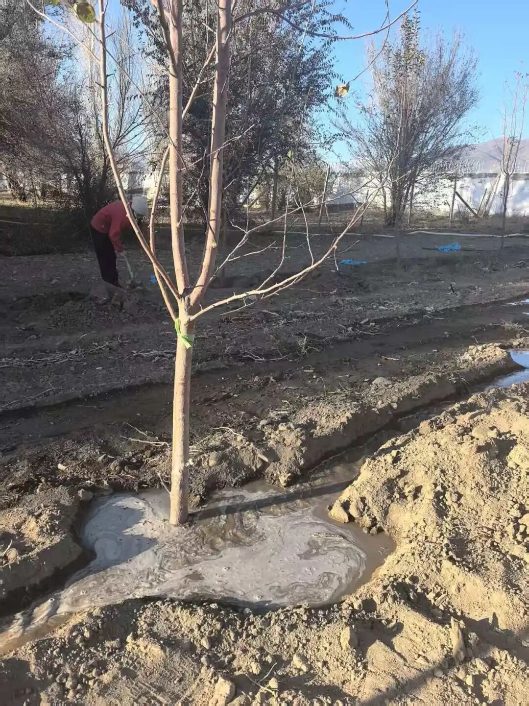 青春的交流，种下新树 | 给地球天使投资人们的2025年4季度项目进展__青春的交流，种下新树 | 给地球天使投资人们的2025年4季度项目进展