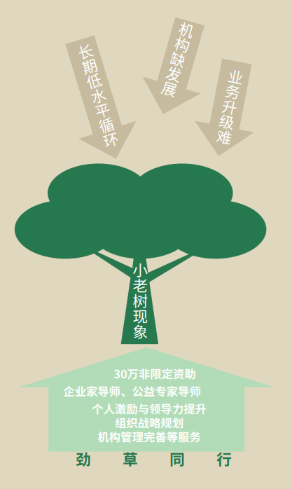 "劲草同行"十年评估(2013-2024)__"劲草同行"十年评估(2013-2024)
