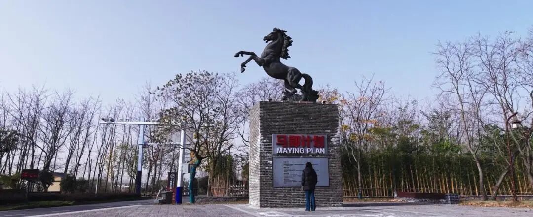 不喊口号，只“较真”记录：这部片子拍出了最真实的可持续社区_不喊口号，只“较真”记录：这部片子拍出了最真实的可持续社区_