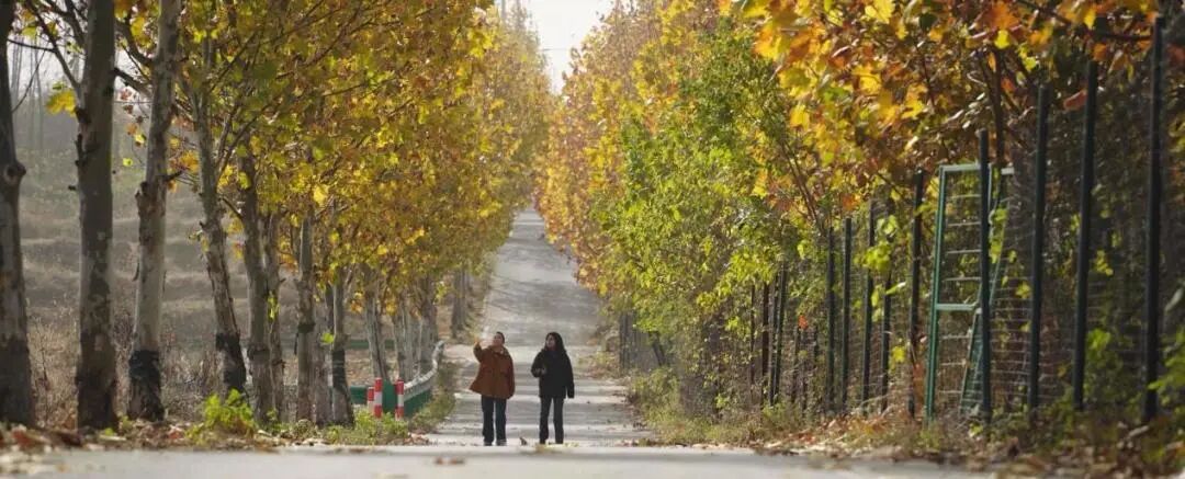 _不喊口号，只“较真”记录：这部片子拍出了最真实的可持续社区_不喊口号，只“较真”记录：这部片子拍出了最真实的可持续社区