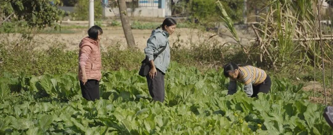 _不喊口号，只“较真”记录：这部片子拍出了最真实的可持续社区_不喊口号，只“较真”记录：这部片子拍出了最真实的可持续社区