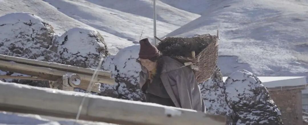 _不喊口号，只“较真”记录：这部片子拍出了最真实的可持续社区_不喊口号，只“较真”记录：这部片子拍出了最真实的可持续社区