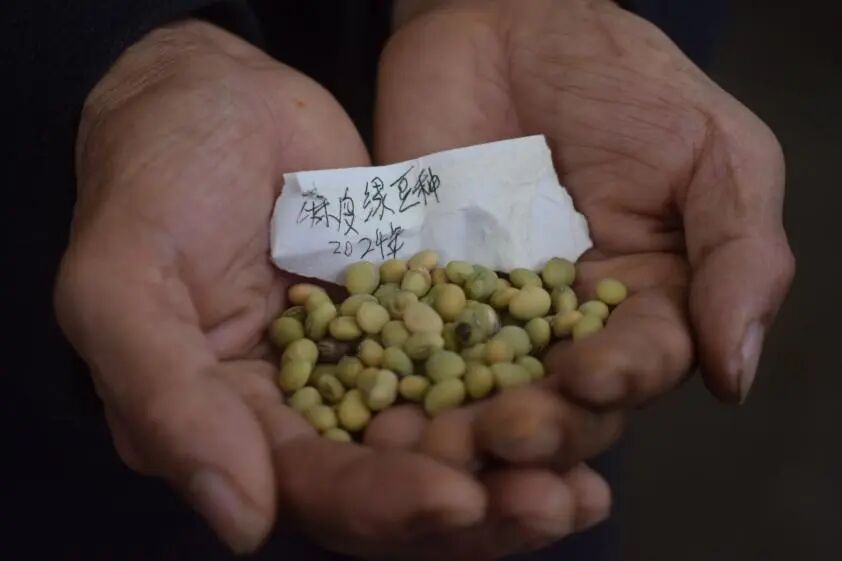 构成微小气候的因素有哪些_微小气候检测项目_