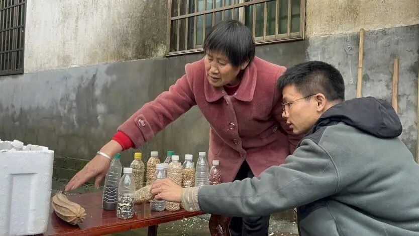 微小气候检测项目_构成微小气候的因素有哪些_