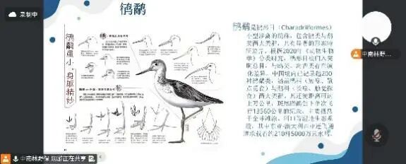 支付宝逾期的怎么付款__运动员甘油