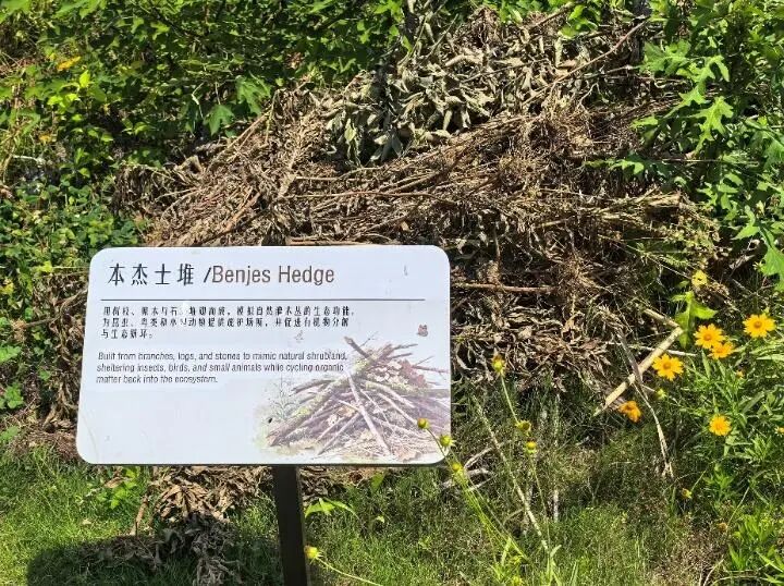 年轻人有能力去守护自然吗?看看这些苏州大学生的行动答卷__年轻人有能力去守护自然吗?看看这些苏州大学生的行动答卷