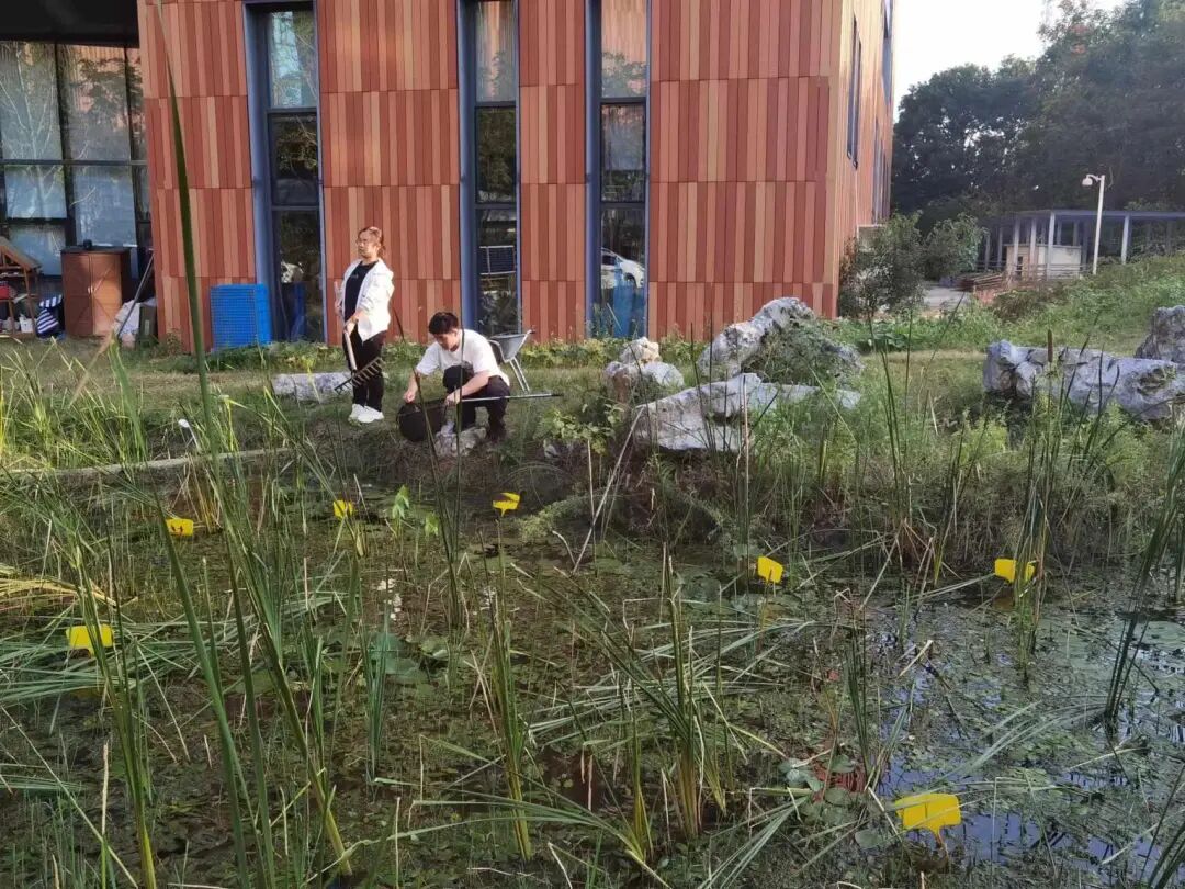 _年轻人有能力去守护自然吗?看看这些苏州大学生的行动答卷_年轻人有能力去守护自然吗?看看这些苏州大学生的行动答卷