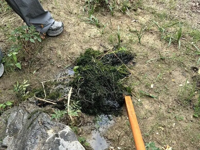 年轻人有能力去守护自然吗?看看这些苏州大学生的行动答卷__年轻人有能力去守护自然吗?看看这些苏州大学生的行动答卷