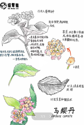这些年轻人用1000个真实鲜活的视频，告诉我们环保该是如此火热__这些年轻人用1000个真实鲜活的视频，告诉我们环保该是如此火热