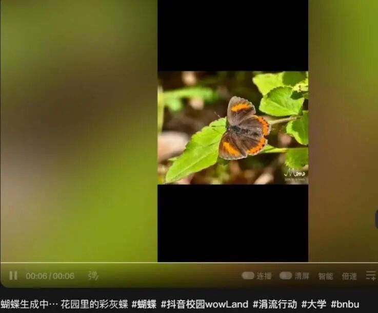 _这些年轻人用1000个真实鲜活的视频，告诉我们环保该是如此火热_这些年轻人用1000个真实鲜活的视频，告诉我们环保该是如此火热