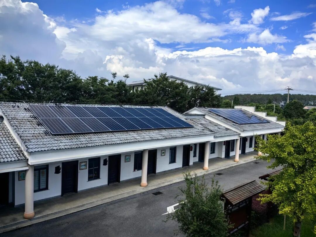 _社区行动整治闲置空地卫生杂草_草围社区电话