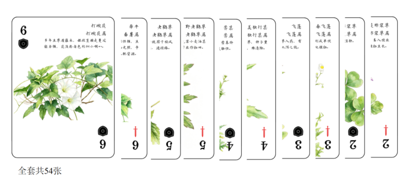公益环保行动实践活动论文__二年级公益环保收获与感悟