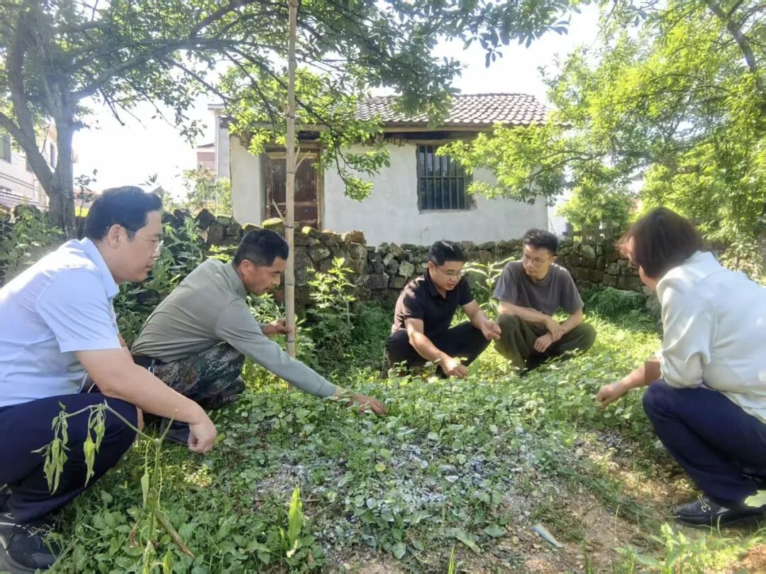 下呼吸道感染性疾病__顶梁柱母亲活动