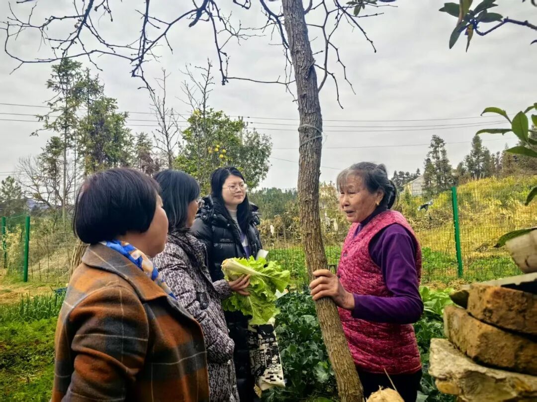 _顶梁柱母亲活动_下呼吸道感染性疾病