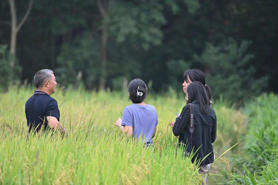 秋分后小河沟夜钓_秋分过后我国可能出现的现象_