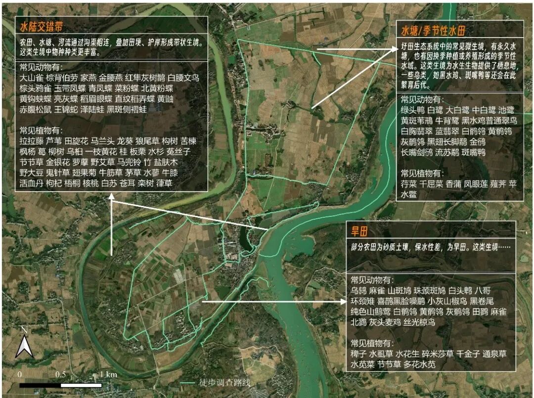 _秋分后小河沟夜钓_秋分过后我国可能出现的现象