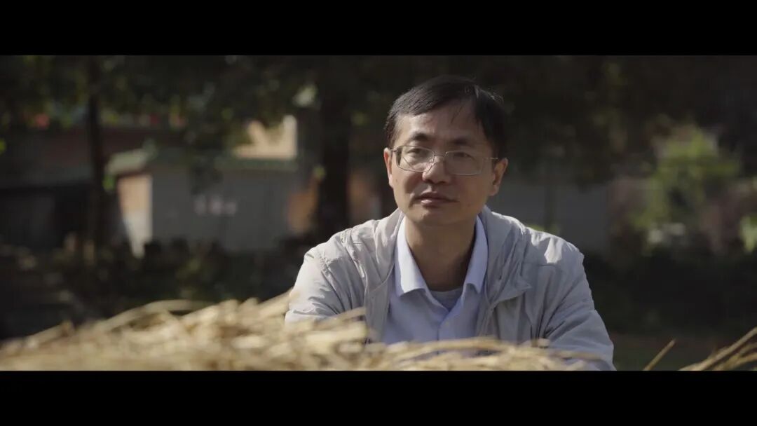 _五行缺火适合什么行业_吴昊科研之友生态学