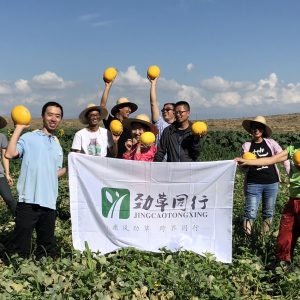 劲草同行
