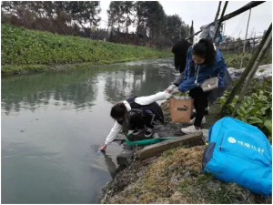 Supporting Grassroots Organizations Funding——ChengXi Plan